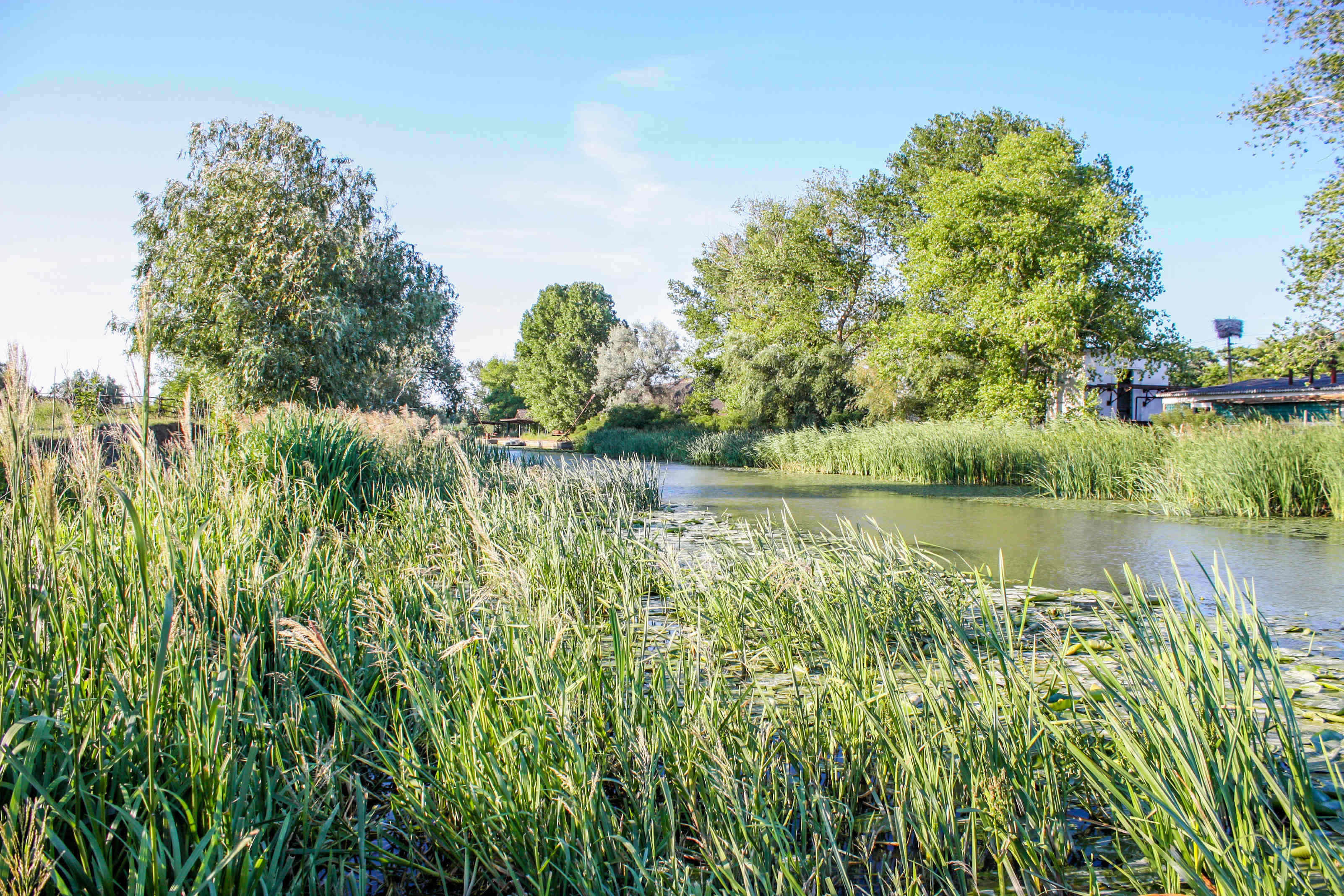 The Danube Delta