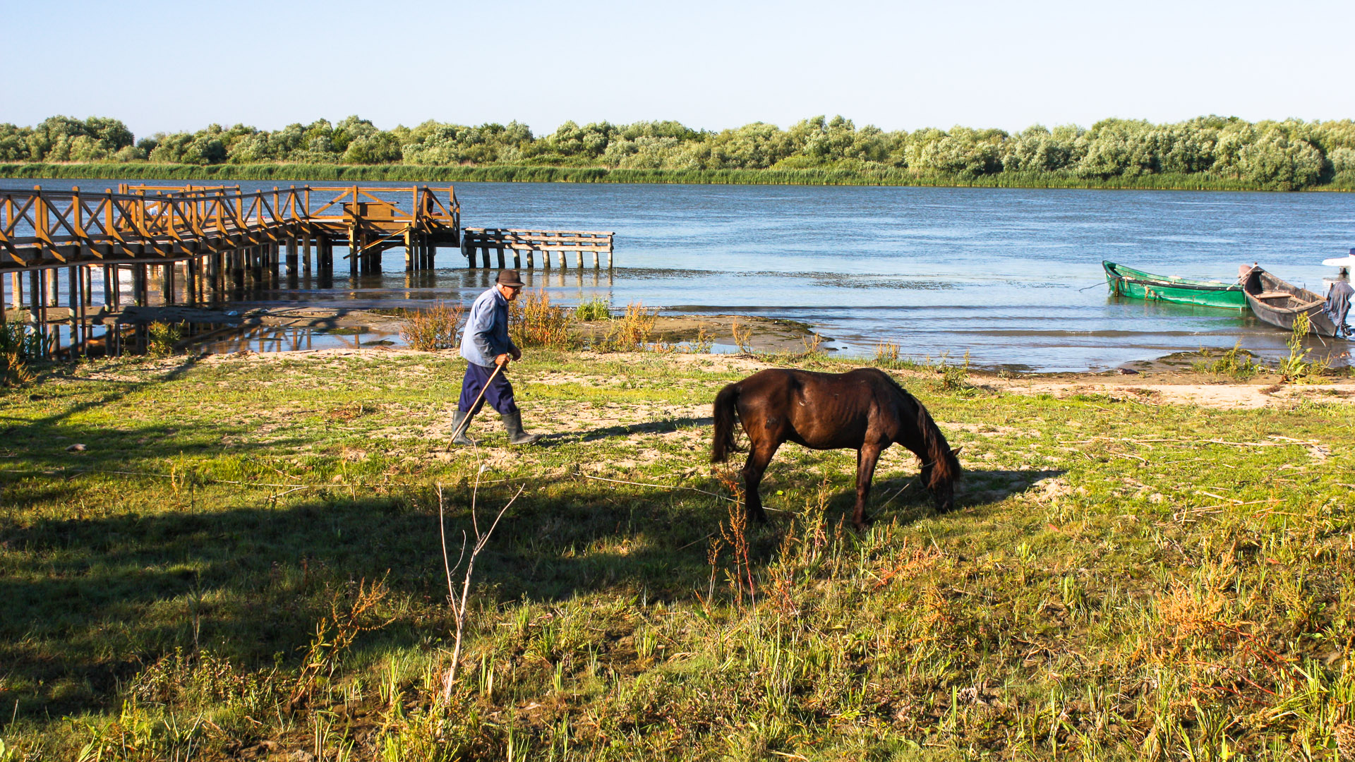 danube delta