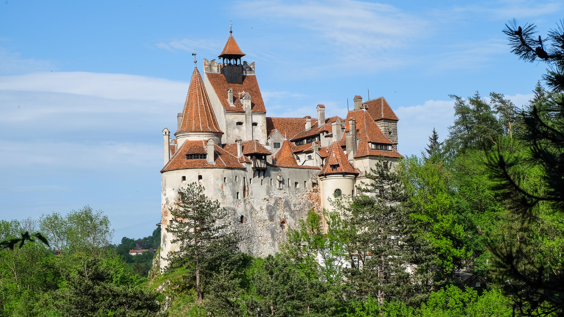 Peles Castle & Bran Castle in one private tour!