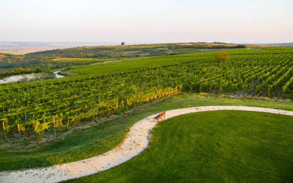 Biking vineyards Romania