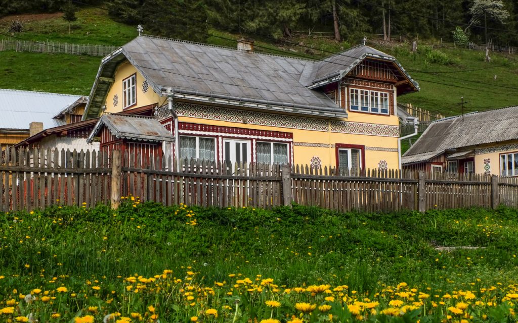 Ciocanesti village houses