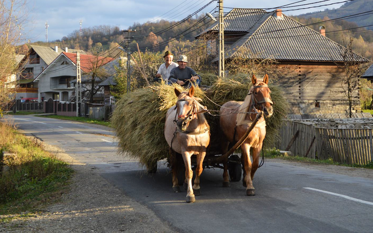 ecotourism in romania