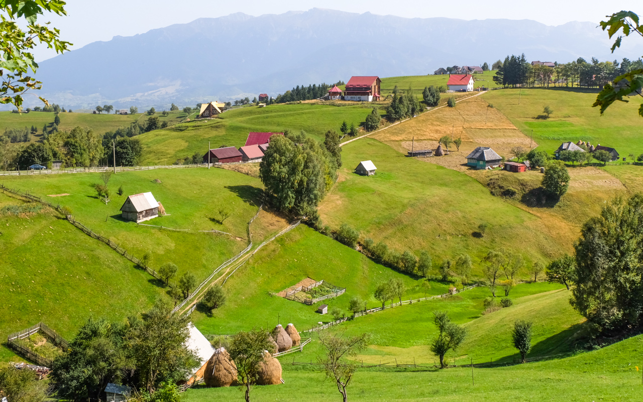 Countryside Of Romania Bucharest