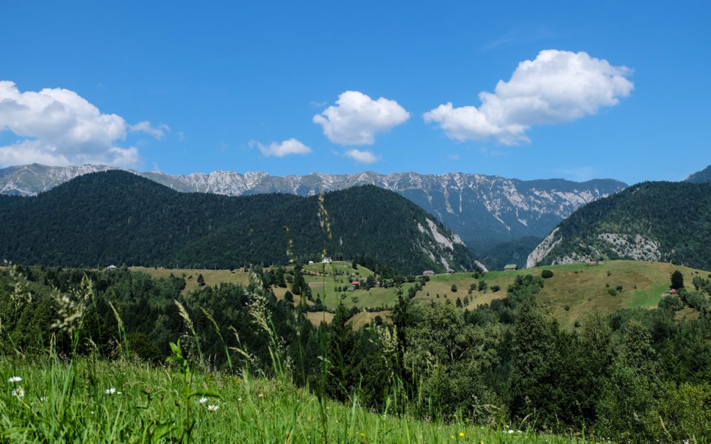 Piatra Craiului Mountains