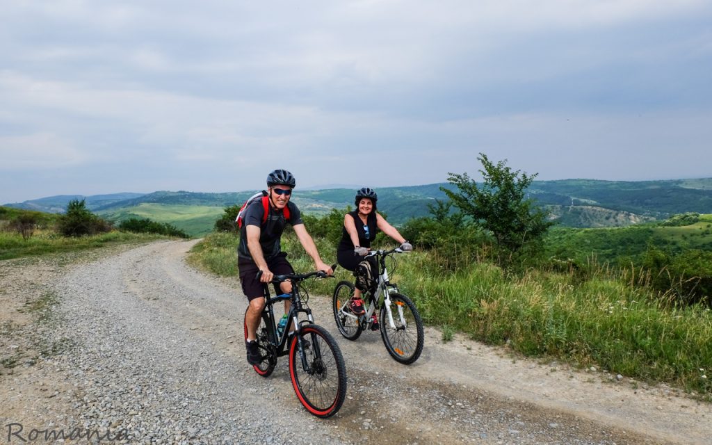 Short biking tour wine tasting tours