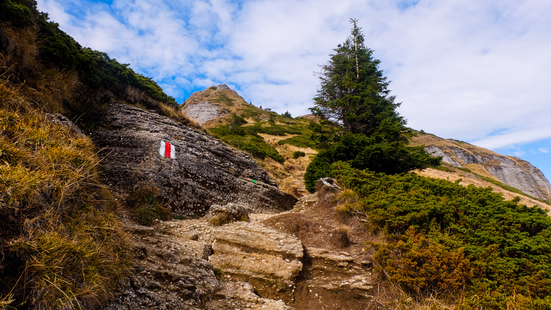 family hiking vacations in romania