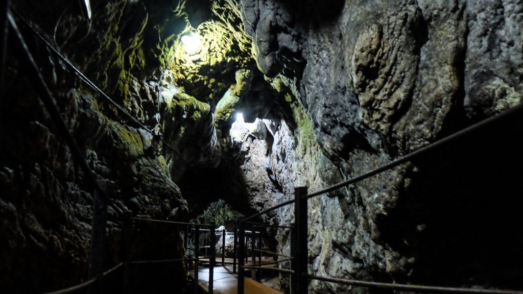 Photo Tour & Bears Watching - 7 days