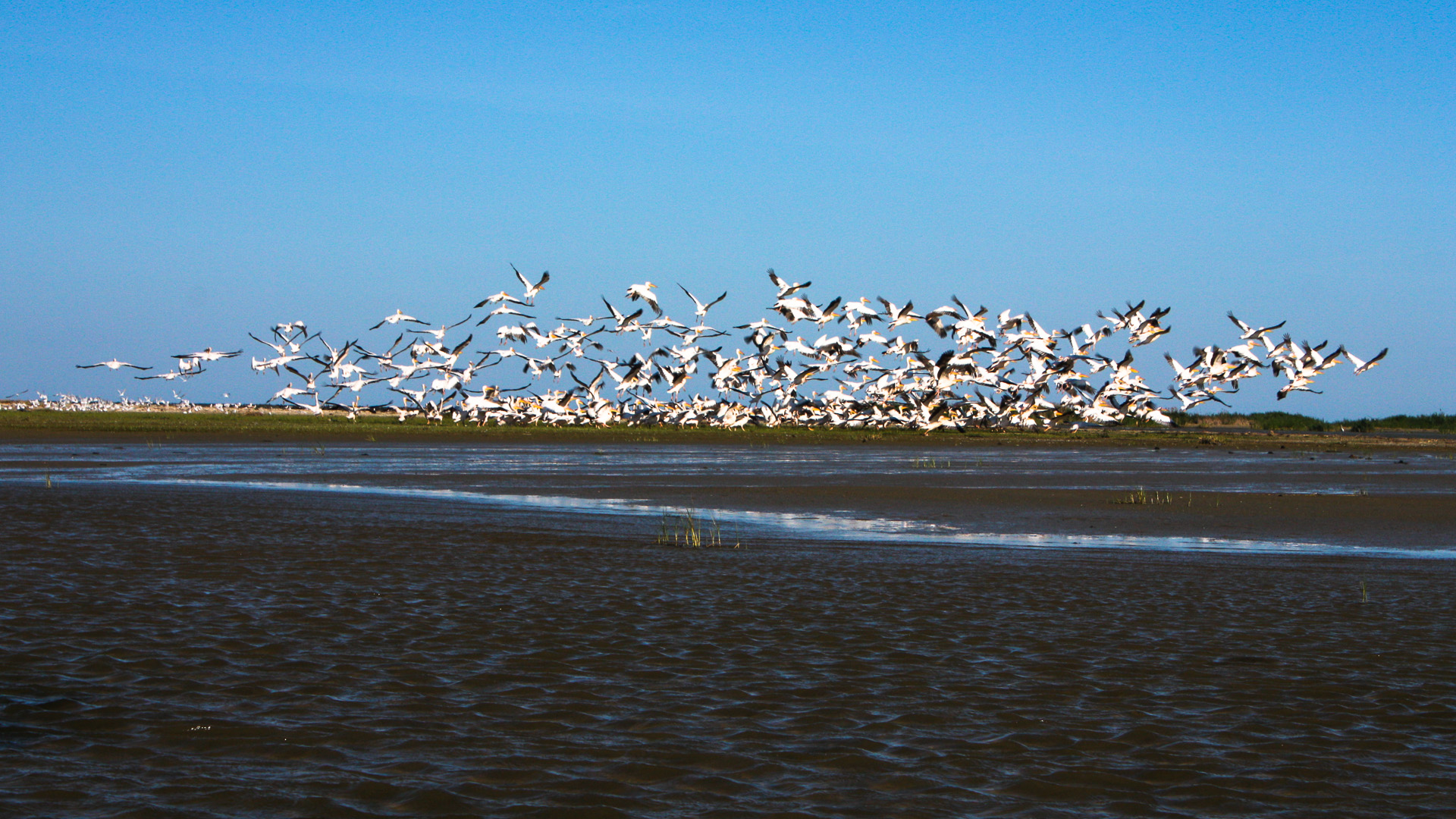 Visit Danube Delta