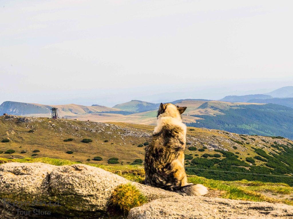 Solo trekking tour carpathian mountains