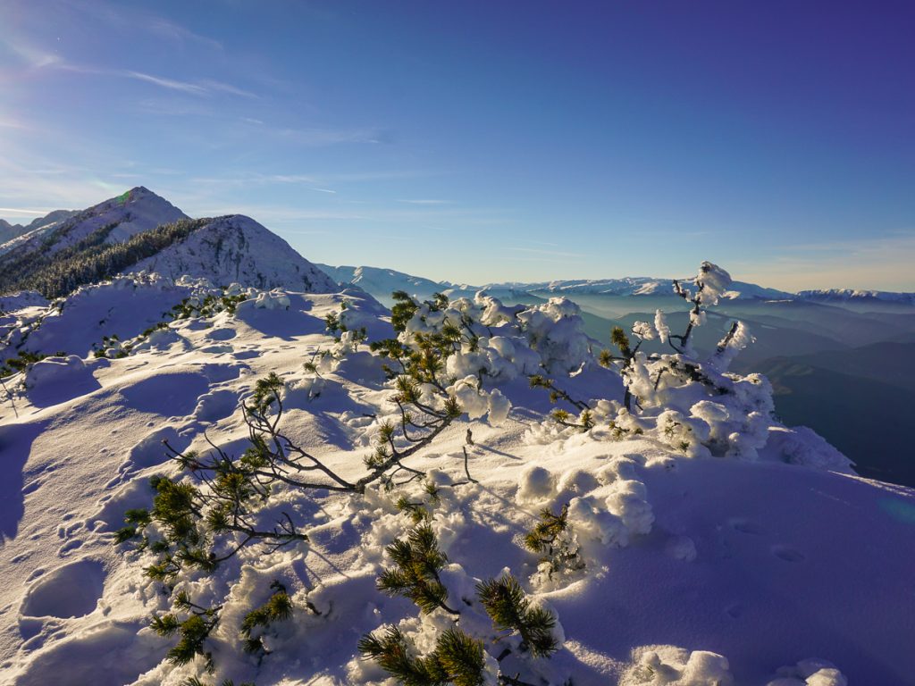Carpathian Mountains winter hiking tour - 2 Days
