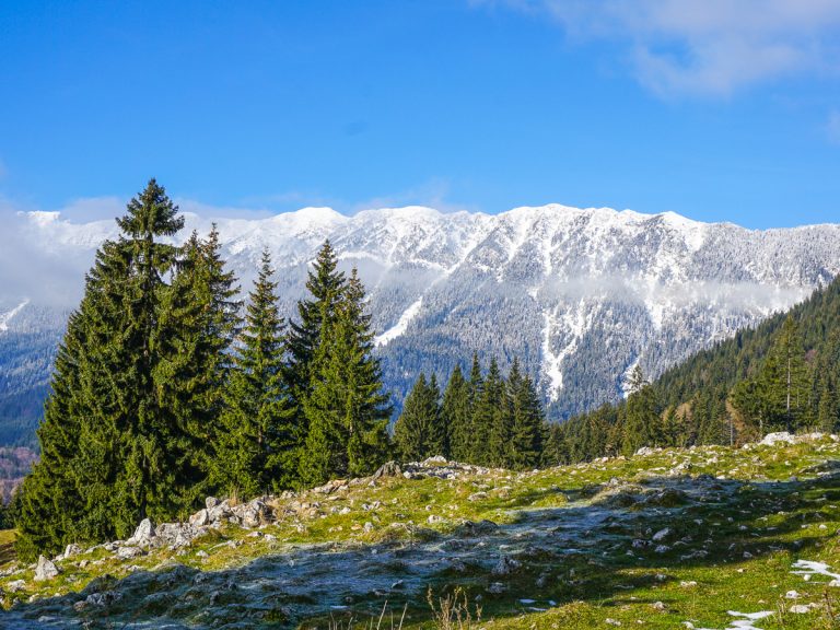 Carpathian Mountains winter hiking tour Romania Tour Store
