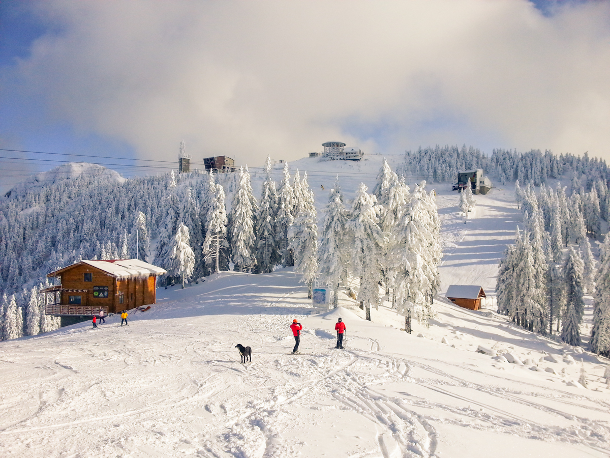 Poiana Brasov Ski