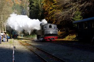 Steam Train tour