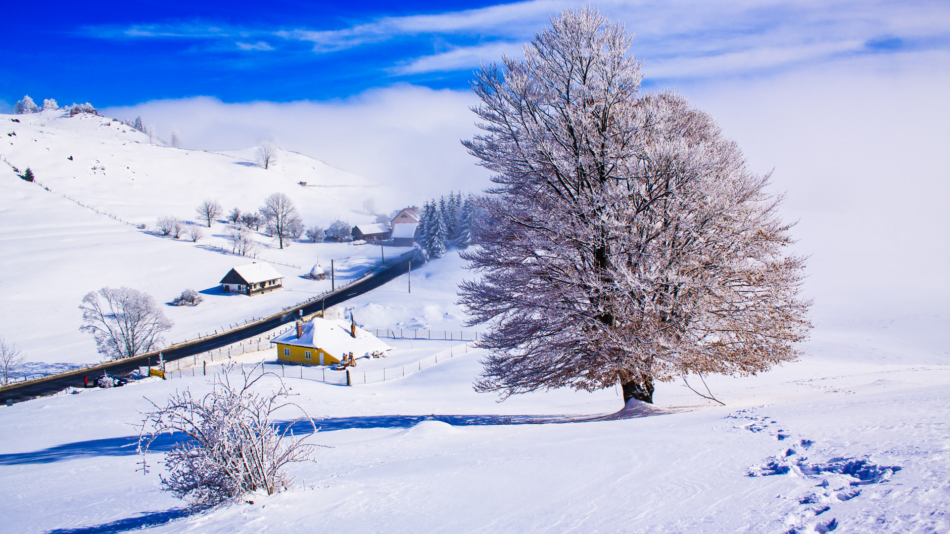 celebrating christmas in romania