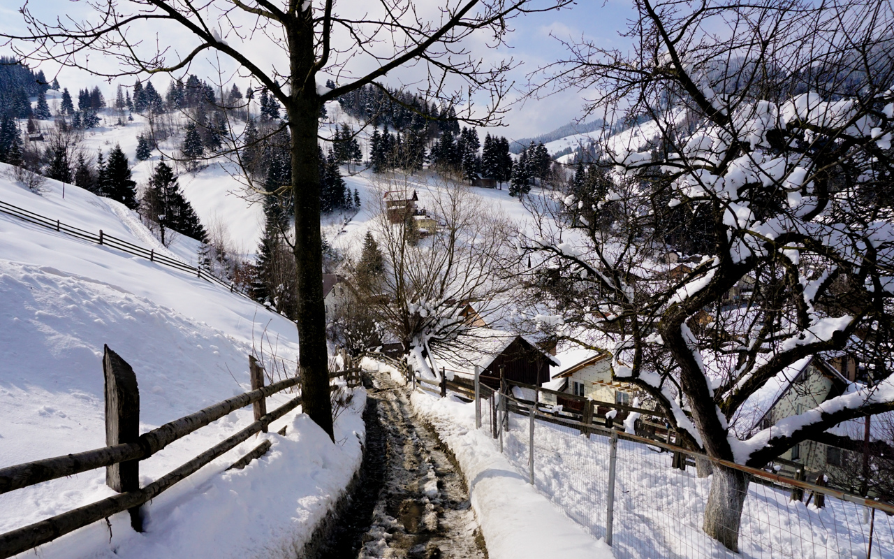 winter tour of transylvania with Romaniatourstore