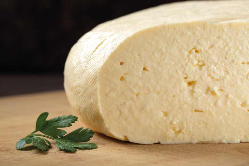 romanian cheese cas de oaie