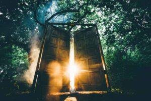 dimensional portal hoia baciu forest