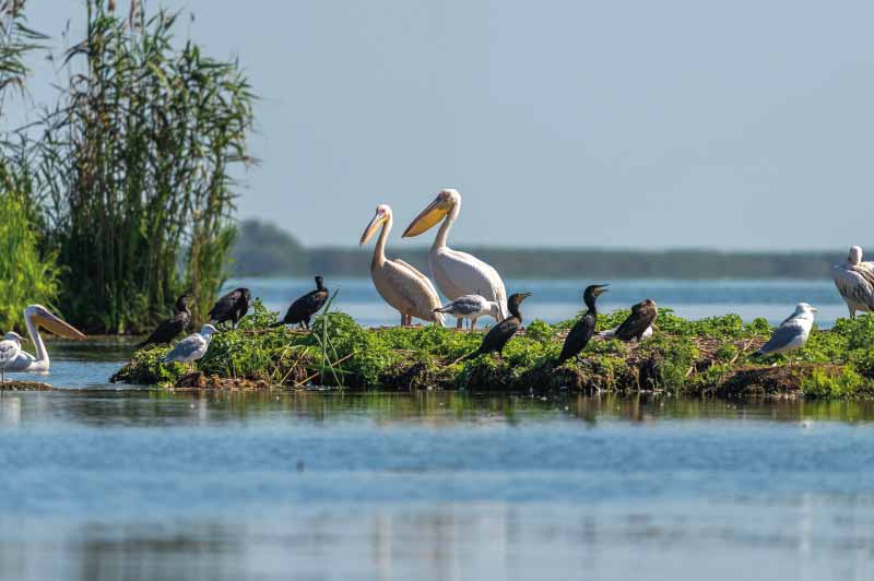 danube delta romania seaside resorts